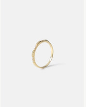 Thin Ring with Set Stones